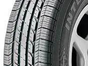 GOODYEAR INTEGRITY image