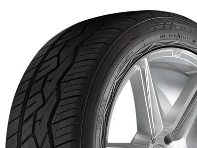 NITTO NT420V