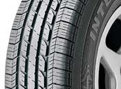 GOODYEAR INTEGRITY image